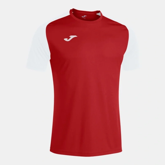 Футболка Joma ACADEMY IV красно-белая 101968.602 101968.602 фото 1 — интернет-магазин Tapok