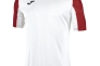 Футболка Joma ESSENTIAL 101105.206 бело-красная 101105.206 Фото 1