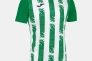 Футболка Joma INTER III зелено-біла 103164.452 103164.452 Фото 1