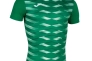 Футболка Joma MYSKIN ACADEMY зелено-біла 101290.452 101290.452 Фото 1