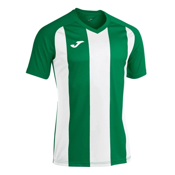 Футболка Joma PISA II зелено-белая 102243.452 102243.452 фото 1 — интернет-магазин Tapok