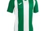Футболка Joma PISA II зелено-белая 102243.452 102243.452 Фото 1