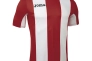 Футболка Joma Pisa V 100403.600 красно-белая 100403.600 Фото 1