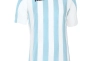 Футболка блакитно-біла Joma COPA 100001.352 100001.352 Фото 1