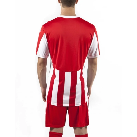 Футболка красно-белая Joma COPA 100001.600 100001.600 фото 3 — интернет-магазин Tapok