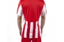 Футболка красно-белая Joma COPA 100001.600 100001.600 Фото 3