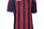 Футболка красно-синяя Joma COPA 100001.603 100001.603 Фото 1