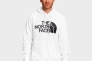 Худі The North Face Half Dome Raglan Sleeve NF0A7UNL-100 Фото 1
