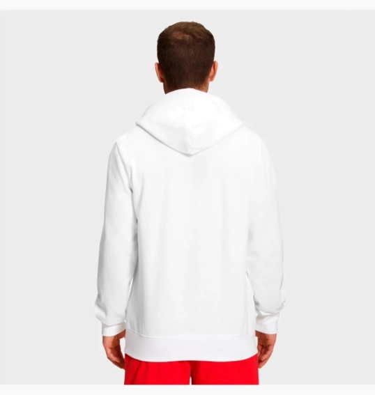 Худі The North Face Half Dome Raglan Sleeve NF0A7UNL-100 фото 2 — інтернет-магазин Tapok