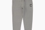 Брюки спортивные The North Face Box NSE Jogger Pants NF0A7UOAGVD Фото 1