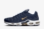 Кроссовки Nike Air Max TN Plus French Football FB3350-400 FB3350-400 Фото 1