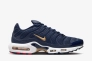 Кроссовки Nike Air Max TN Plus French Football FB3350-400 FB3350-400 Фото 3