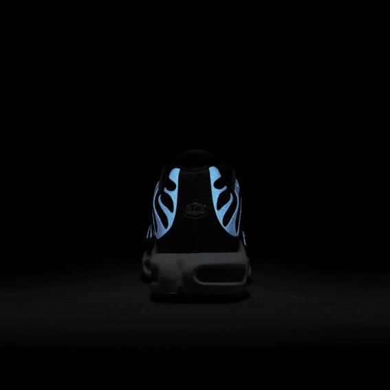 Кроссовки Nike Air Max TN Plus French Football FB3350-400 FB3350-400 фото 9 — интернет-магазин Tapok