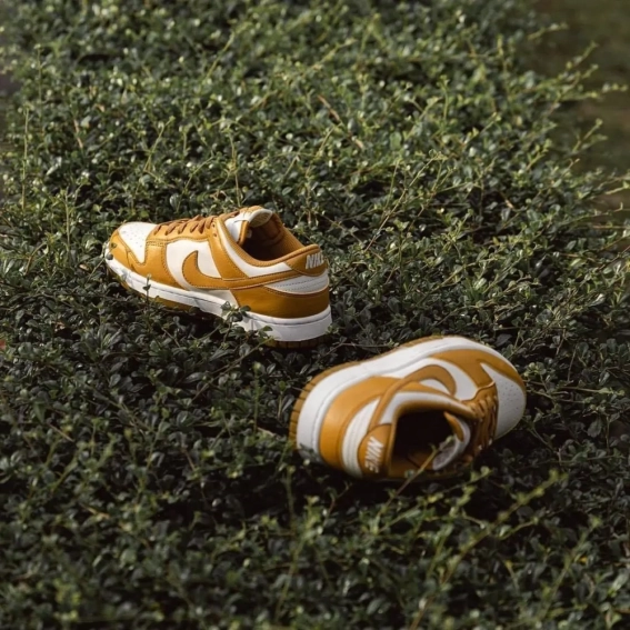 Кросівки Nike Dunk Low Next Nature Phantom Gold DN1431-001 DN1431-001 фото 5 — інтернет-магазин Tapok