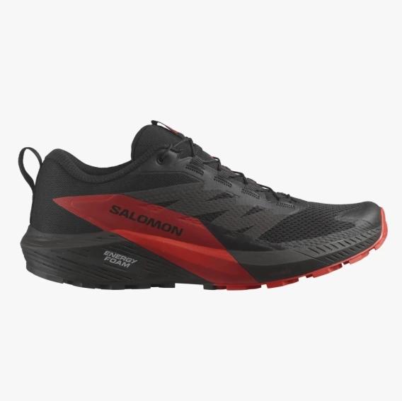 Кроссовки SALOMON Sense Ride 5 474829 474829 фото 1 — интернет-магазин Tapok