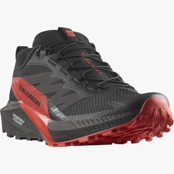 Кроссовки SALOMON Sense Ride 5 474829 474829 фото 2 — интернет-магазин Tapok