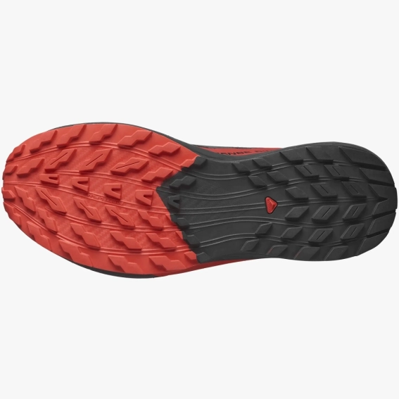 Кроссовки SALOMON Sense Ride 5 474829 474829 фото 3 — интернет-магазин Tapok