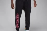 Брюки чоловічі Jordan M Dri-Fit Sprt Flc Gfx (FN5814-010) Фото 1