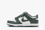 Кроссовки Nike Dunk Low Retro FB9109-120 Фото 1