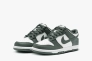 Кроссовки Nike Dunk Low Retro FB9109-120 Фото 5