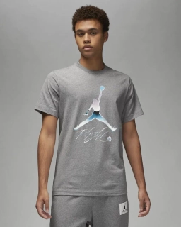 Футболка Jordan Mens Brand Graphic Short - Sleeve DV8414-091