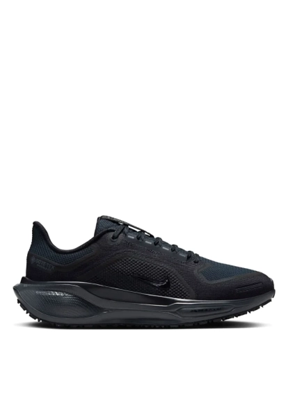 Кросівки Nike Pegasus 41 GORE-TEX Waterproof Road Running FQ1357-001 фото 1 — інтернет-магазин Tapok