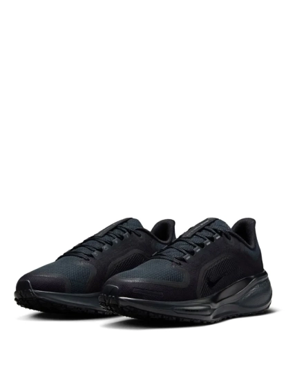 Кросівки Nike Pegasus 41 GORE-TEX Waterproof Road Running FQ1357-001 фото 5 — інтернет-магазин Tapok