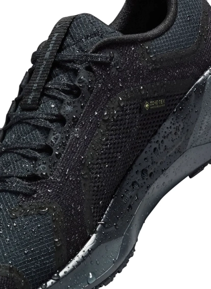 Кросівки Nike Pegasus 41 GORE-TEX Waterproof Road Running FQ1357-001 фото 7 — інтернет-магазин Tapok