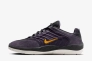 Кросівки Nike SB Vertebrae FD4691-500 Фото 1