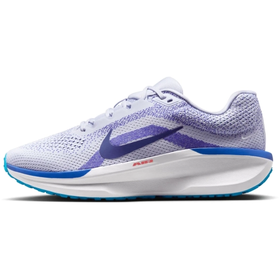 Кроссовки Nike Winflo 11 FJ9509-006 фото 1 — интернет-магазин Tapok