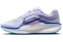 Кроссовки Nike Winflo 11 FJ9509-006 Фото 1