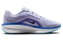 Кроссовки Nike Winflo 11 FJ9509-006 Фото 2
