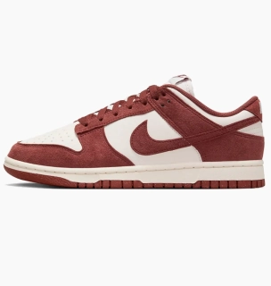 Кроссовки Nike WMNS DUNK LOW HJ7673-001