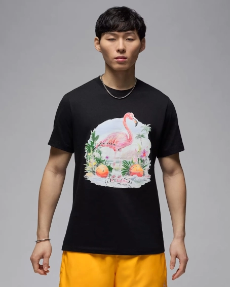 Футболка Air Jordan ESS FLAMINGO SS CREW BLACK HJ2399-010 фото 1 — интернет-магазин Tapok