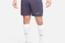Шорти Nike Dri-FIT Football Replica Shorts FJ4292-573 Фото 1