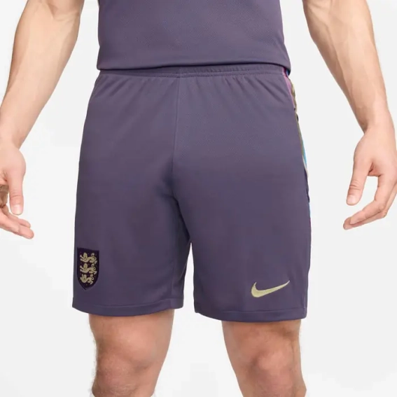 Шорти Nike Dri-FIT Football Replica Shorts FJ4292-573 фото 2 — інтернет-магазин Tapok