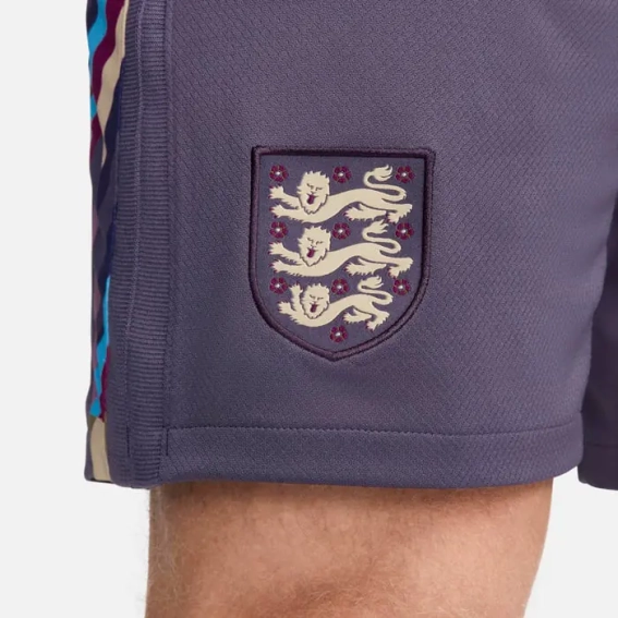 Шорти Nike Dri-FIT Football Replica Shorts FJ4292-573 фото 6 — інтернет-магазин Tapok