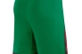 Шорты Nike Portugal 2024 Home Stadium FJ4298-302 Фото 2