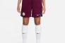 Шорты Nike PSG 24/25 Strike FN9394-610 Фото 1
