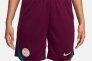 Шорты Nike PSG 24/25 Strike FN9394-610 Фото 2