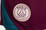 Шорты Nike PSG 24/25 Strike FN9394-610 Фото 5