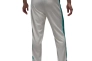 Штани Jordan Essentials HF9341-133 Фото 2