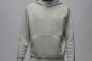 Кофта чоловіча Jordan Brooklyn Fleece (FV7281-050) Фото 1