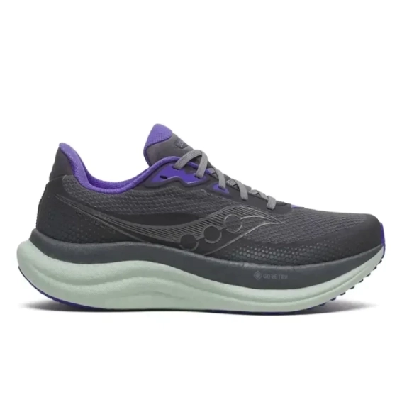 Кросівки для бігу Saucony TRIUMPH 23 GTX S11025-01 фото 1 — інтернет-магазин Tapok