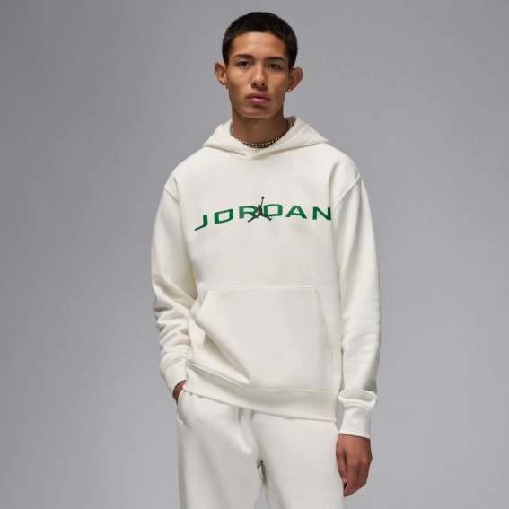 Кофта мужская Jordan MJ Ess Jd Air (HQ4643-133) фото 1 — интернет-магазин Tapok