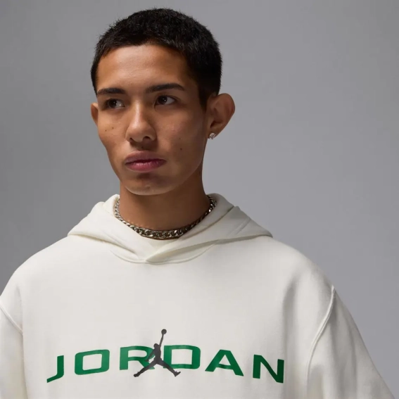 Кофта мужская Jordan MJ Ess Jd Air (HQ4643-133) фото 3 — интернет-магазин Tapok
