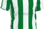 Футболка Joma INTER 101287.452 зелено-біла 101287.452 Фото 1