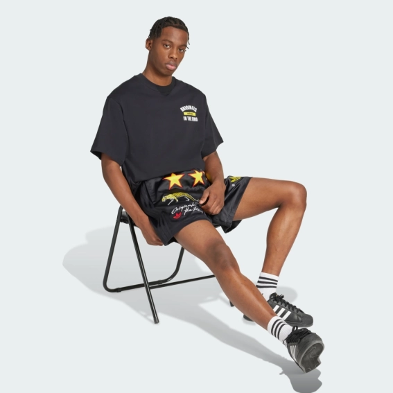 Мужская футболка Adidas Originals In The Ring Graphic KA4554 KA4554 фото 3 — интернет-магазин Tapok