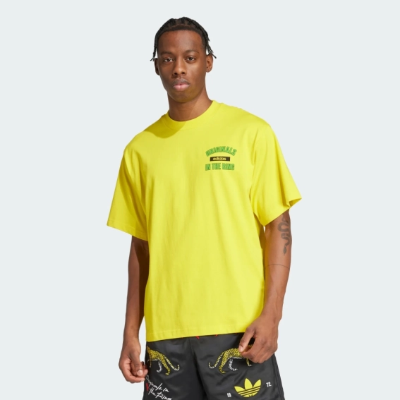 Футболка чоловіча Adidas Originals In The Ring Graphic KA4559 KA4559 фото 1 — інтернет-магазин Tapok