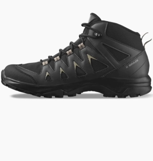 Кроссовки SALOMON X BRAZE MID GTX 471748